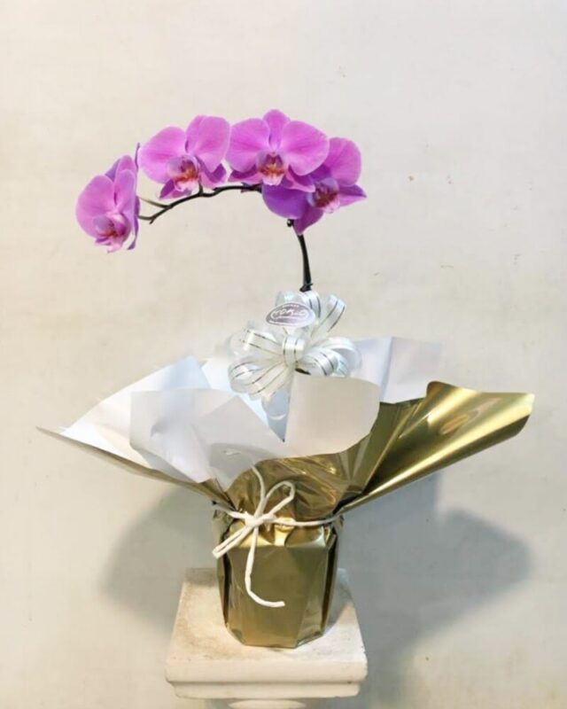 Florería Y Chocolates Tokio