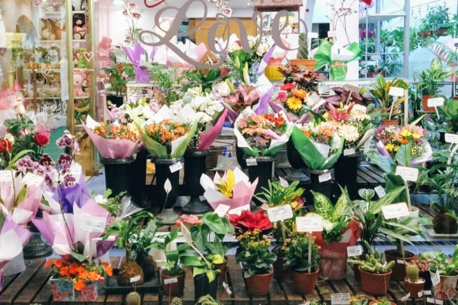 Florería Y Chocolates Tokio