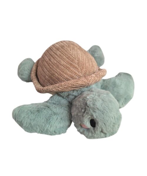 Tortuga marrón con gris verdoso