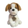 Perro bicolor con collar