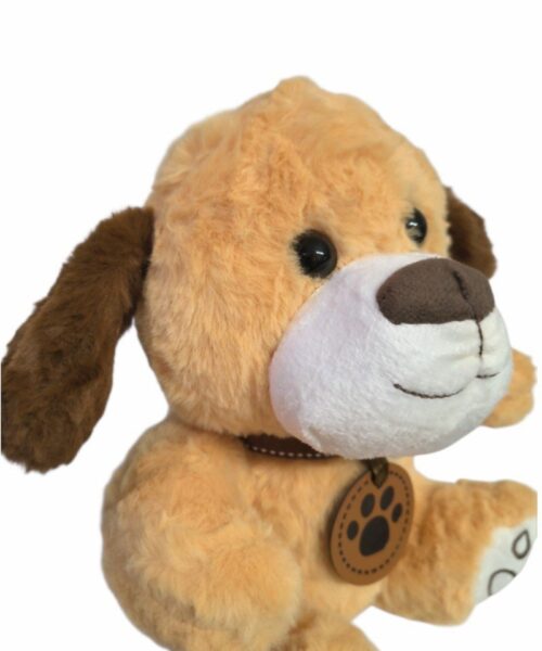 Alternative view of Perro marrón claro con collar
